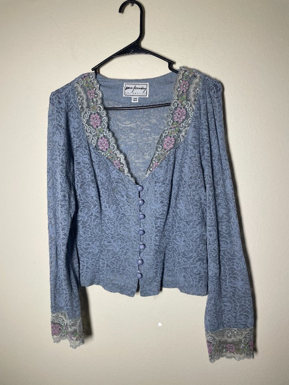 Vintage Ann Ferriday Women's LS Floral Blue Lace Sheer BU Blouse!